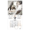 Календарь настенный перекидной на 2024 г., BRAUBERG, 12 листов, 29х29 см, "Кошечки", 115315 - фото 3305424