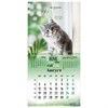 Календарь настенный перекидной на 2024 г., BRAUBERG, 12 листов, 29х29 см, "Милые котики", 115321 - фото 3305436