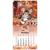 Календарь настенный перекидной на 2024 г., BRAUBERG, 12 листов, 29х29 см, "Милые котики", 115321 - фото 3305466