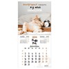 Календарь настенный перекидной на 2024 г., BRAUBERG, 12 листов, 29х29 см, "Кошечки", 115315 - фото 3305477
