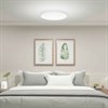 Умный потолочный светильник XIAOMI Mi Smart LED Ceiling Light, LED, 45 Вт, белый, BHR4118GL - фото 3446905