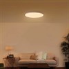 Умный потолочный светильник XIAOMI Mi Smart LED Ceiling Light, LED, 45 Вт, белый, BHR4118GL - фото 3446906