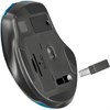 Мышь беспроводная DEFENDER Prime MB-053, USB, 5 кнопок + 1 колесо-кнопка, оптическая, бирюзовая? 52054 - фото 3447136