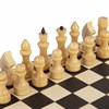 Шахматы обиходные, деревянные, лакированные, глянцевые, доска 29х29 см, ЗОЛОТАЯ СКАЗКА, 665362 - фото 3651771