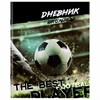 Дневник 1-11 класс 40 л., на скобе, ПИФАГОР, обложка картон, "Футбол", 106817 - фото 3653003