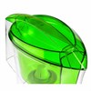 Кувшин-фильтр для очистки воды ГЕЙЗЕР "Дельфин", 3 л, 2 сменных картриджа, зеленый, 62035 - фото 3782670
