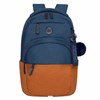 Рюкзак GRIZZLY школьный, укрепленная спинка, 2 отделения, для девочек, BLUE/ORANGE, 43х27,5х16 см, RD-341-2/3 - фото 3944754