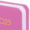 Ежедневник датированный 2025 МАЛЫЙ ФОРМАТ 100х150 мм А6, BRAUBERG "Select", балакрон, розовый, 115754 - фото 4038354