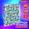 Тетрадь на кольцах А5 160х212 мм, 120 листов, картон, выборочный лак, клетка, BRAUBERG, "Карпы Кои", 404730 - фото 4039722