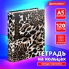 Тетрадь на кольцах А5 165х215 мм, 120 листов, твердый картон, клетка, BRAUBERG, "Leopard", 404712 - фото 4040621