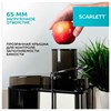 Соковыжималка SCARLETT SC-JE50S53, 1000 Вт, стакан 0,6 л, емкость жмыха 1 л, пластик, сталь/черный - фото 4982991