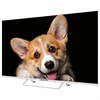 Телевизор TOPDEVICE TDTV43CS03U_WE, 43'' (109 см), 3840x2160, 4K, 16:9 SmartTV, Wi-Fi, Bluetooth, белый - фото 5909555