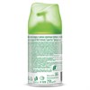 Сменный баллон 250 мл, AIRWICK Freshmatic "Цветущая сакура", 3316668 - фото 6135551
