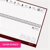 Планинг датированный 2026 300х130мм, STAFF, гребень, обложка бумвинил, 64л, бордовый, 117359 - фото 6216043