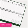 Планинг датированный 2026 300х130мм, STAFF, гребень, обложка бумвинил, 64л, зеленый, 117361 - фото 6216048