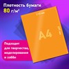 Цветная бумага А4 ТОНИРОВАННАЯ В МАССЕ, 48 листов 16цв, в папке, 80г/м2, BRAUBERG, 210х297мм, 117614 - фото 6216134