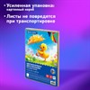 Цветная бумага А4 ТОНИРОВАННАЯ В МАССЕ, 80 листов 10цв, короб, 80г/м2, BRAUBERG, 210х297мм, 117616 - фото 6216137