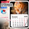 Календарь отрывной на магните на 2026 г., BRAUBERG, 130х180 мм, склейка, "Котик", 117289 - фото 6286315