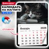 Календарь отрывной на магните на 2026 г., BRAUBERG, 130х180 мм, склейка, "Спящий кот", 117292 - фото 6286327
