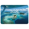 Календарь карманный на 2026г, BRAUBERG, 64х93мм, АССОРТИ 20 видов, 117303 - фото 6286342