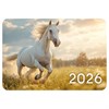 Календарь карманный на 2026г, BRAUBERG, 64х93мм, АССОРТИ 20 видов, 117304 - фото 6286343