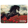Календарь карманный на 2026г, BRAUBERG, 64х93мм, АССОРТИ 20 видов, 117303 - фото 6286348