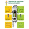 Батарейки аккумуляторные GP ReEnergy Ni-Mh мизинчиковые КОМПЛЕКТ 10 шт., ААА (HR03), 950 mAh, 100AAAHCRGY, 100AAAHC-CRB10 - фото 6315631