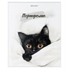 Папка-портфолио универсальная, 4 кольца, 20 файлов, 7БЦ матовая, BRAUBERG "Cat", 107557, 117557 - фото 6320688