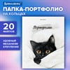 Папка-портфолио универсальная, 4 кольца, 20 файлов, 7БЦ матовая, BRAUBERG "Cat", 107557, 117557 - фото 6320692
