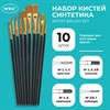 Кисти набор 10 шт., синтетика, черные, № 2/0-8 (Круглые; Овальные; Плоские; Лайнеры), WBZ, 201084 - фото 6329410
