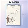 Скетчбук, белая бумага 100 г/м2, 140х201 мм, 60 л., гребень, жёсткая подложка, BRAUBERG ART, Ассорти Beige, 116904 - фото 6365305