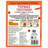 Пропись "Калиграфическая письмо", АССОРТИ, А4, 16 листов, ПП - фото 6365383
