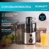 Соковыжималка SCARLETT SC-JE50S18, 800 Вт, стакан 0,6 л, емкость для жмыха 1 л, пластик, сталь/черный - фото 6372992