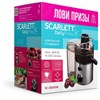 Соковыжималка SCARLETT SC-JE50S18, 800 Вт, стакан 0,6 л, емкость для жмыха 1 л, пластик, сталь/черный - фото 6372996