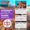 Календарь квартальный 2026 г., 3 блока, 3 гребня, бегунок, мелованная бумага, BRAUBERG EXTRA, "Котик", 116824 - фото 6387035