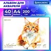 Альбом для акварели А4 40 л., бумага 200 г/м2, гребень, твердая подложка, BRAUBERG, "Мейн-кун", 116884 - фото 6392762