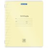 Тетрадь обложка пластик (прозрачный) 12 л., косая линия, BRAUBERG "Smart Cover", АССОРТИ (в спайке), 405024 - фото 6392906