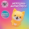 Игрушка-антистресс "ВЕСЁЛЫЙ ПЁСИК", 5,5х8 см, дисплей, JOLLY JOT (ДЖОЛЛИ ДЖОТ), 665802 - фото 6444357