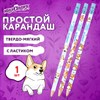 Карандаш чернографитный ЮНЛАНДИЯ "КОРГИ", 1 шт, HB, с ластиком, корпус ассорти, 182009 - фото 6447948