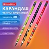 Карандаш чернографитный BRAUBERG "JAPAN FOOD", 1 шт, HB, с ластиком, корпус ассорти, 182022 - фото 6448005