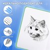 Скетчбук, белая бумага 80 г/м2, 145х203 мм, 80 л., резинка, твердый, FUNSTER, Гусь "Че смотришь?", 116891 - фото 6461189