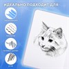Скетчбук, белая бумага 120 г/м2, 145х203 мм, 80 л., резинка, твердый, FUNSTER, "Кот Тыгыдык", 116897 - фото 6461190