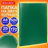 Папка на 2 кольцах А4 BRAUBERG PIXEL, 25 мм, темно-зеленая, до 170 листов, 0,5 мм, 273033 - фото 6466406