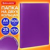 Папка на 2 кольцах А4 BRAUBERG PIXEL, 25 мм, фиолетовая, до 170 листов, 0,5 мм, 273035 - фото 6466409