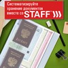 Папка-органайзер, обложка семейная для 2-х комплектов документов, А4, ПВХ, матовая, STAFF, 238873 - фото 6498963