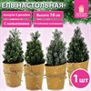 Ель новогодняя искусственная 16 см, с напылением, литой ПЭТ, ассорти, ЗОЛОТАЯ СКАЗКА, 592550 - фото 6549749