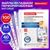 Папки-файлы перфорированные А4 BRAUBERG "PREMIUM", КОМПЛЕКТ 100 шт., матовые, 40 мкм, 273008 - фото 6566174