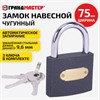 Замок навесной чугунный "Стандарт", ширина 75 мм, английский, 3 ключа, ГРАНДМАСТЕР, 671294 - фото 6566494
