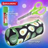 Набор канцелярии подарочный BRAUBERG "AVOCADO", 18 наименований, 43 предмета, 880951 - фото 6566724