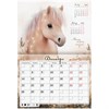 Календарь-планер настенный перекидной на 2026г, 12 листов, 30х21,3см, My sweet pony, BRAUBERG, 116948 - фото 6585632